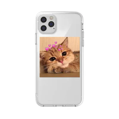 Net Red Cat Mobile Phone Case Applies
