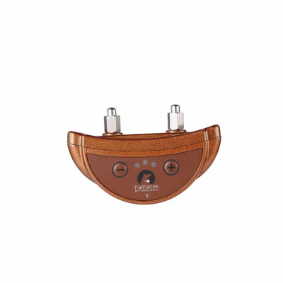 Electric shock collar