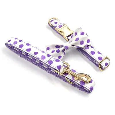 Wind Purple Polka Dot Dog Collar Leash Bow Set