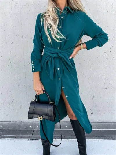 Women's Clothing Autumn And Winter Color Cardigan Long Sleeve Big Hem Dress