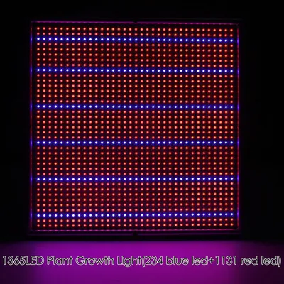 Plant growth light