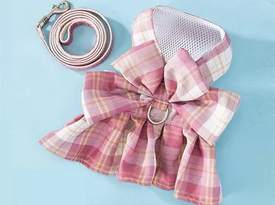 Dog Skirt Hand Holding Rope Small And Medium Pet Supplies