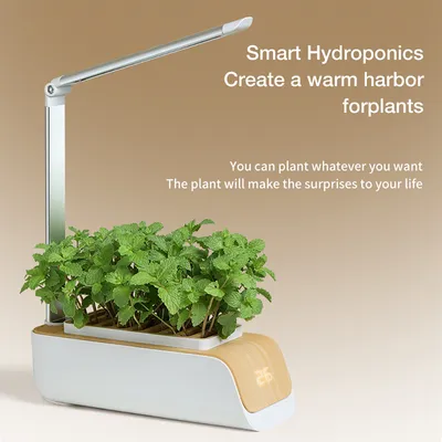 Hydroponic Container Flower Pot Garden Patio ABS It Is Not Easy To Deform Ventilation Storage Container Vegetable Spring