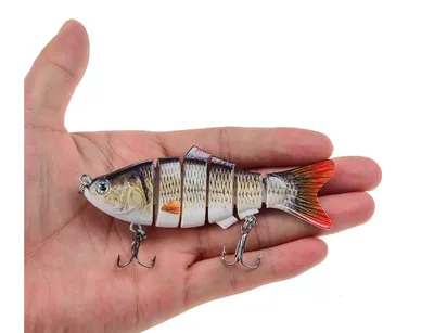 Bait fish